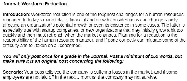 MT 203 MT203 MT/203 Unit4Journal - Workforce Reduction